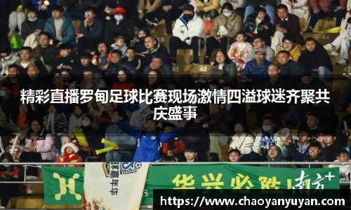 精彩直播罗甸足球比赛现场激情四溢球迷齐聚共庆盛事