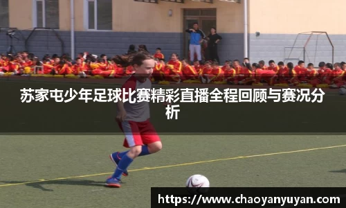 苏家屯少年足球比赛精彩直播全程回顾与赛况分析