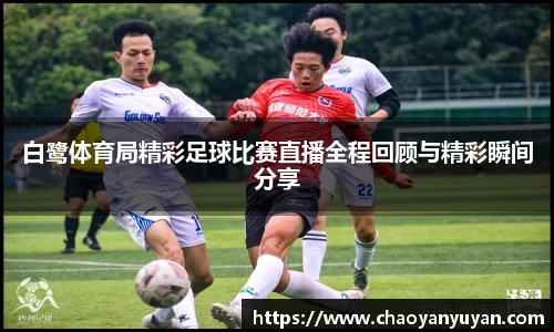 白鹭体育局精彩足球比赛直播全程回顾与精彩瞬间分享