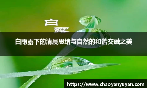 白雨露下的清晨思绪与自然的和谐交融之美